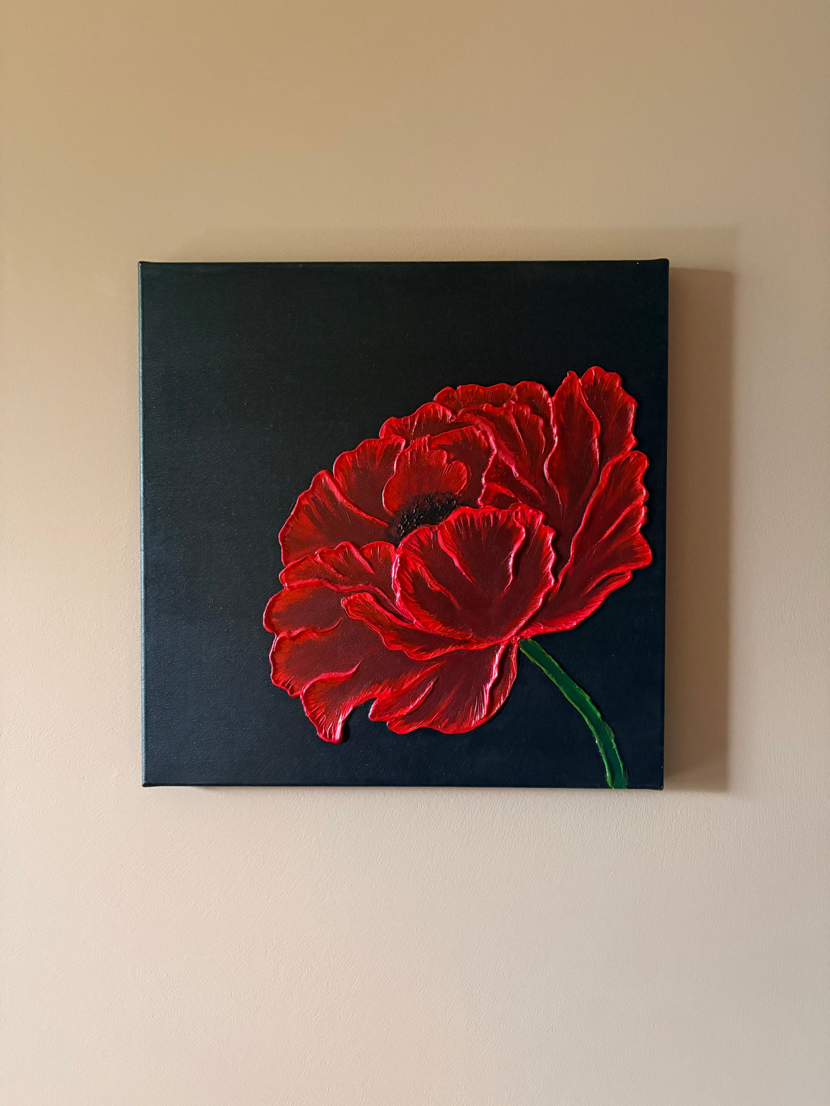 Klaproos, Vrij werk · Studio