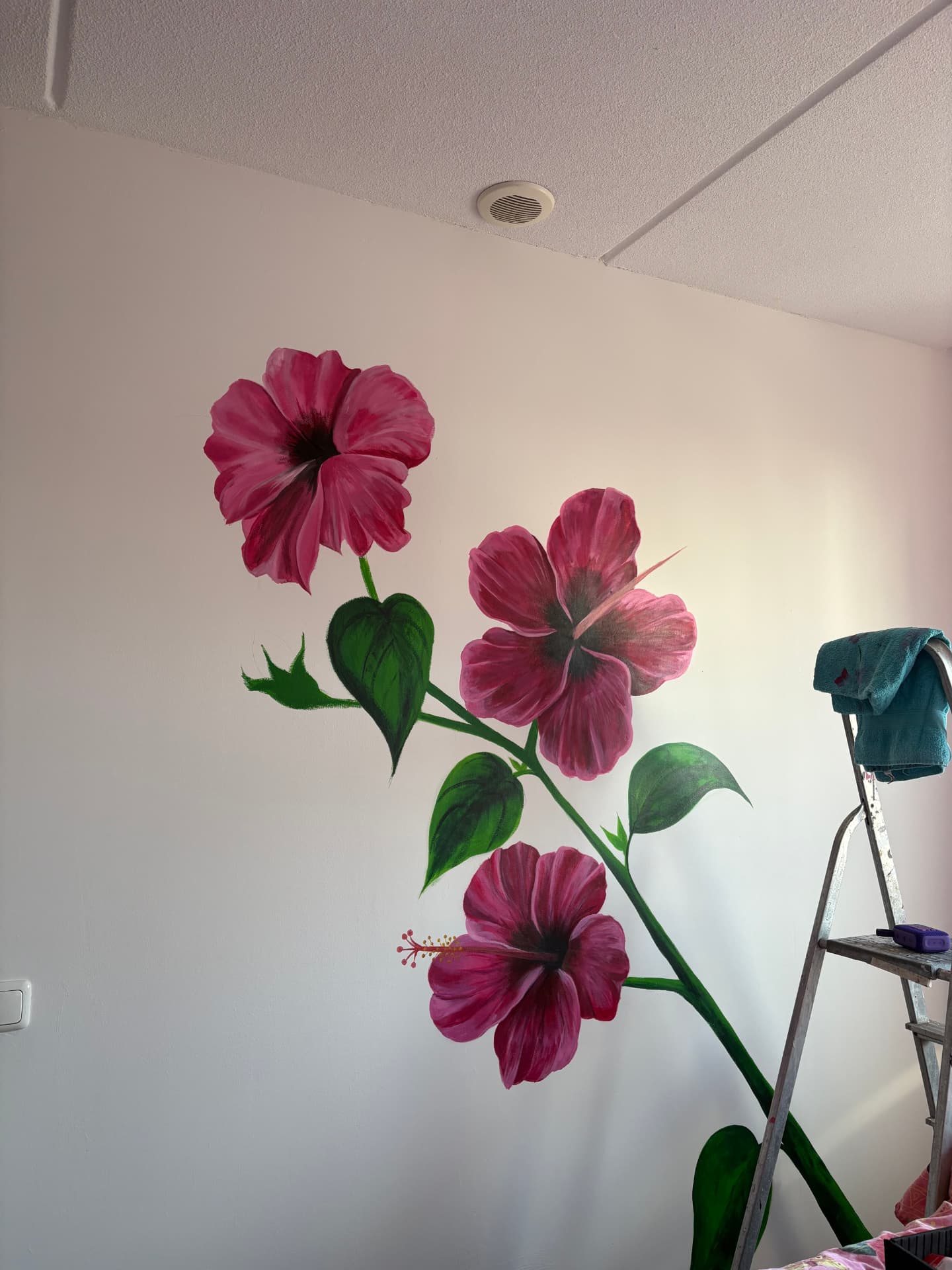 Hibiscus met kolibrie, Hal · particulier