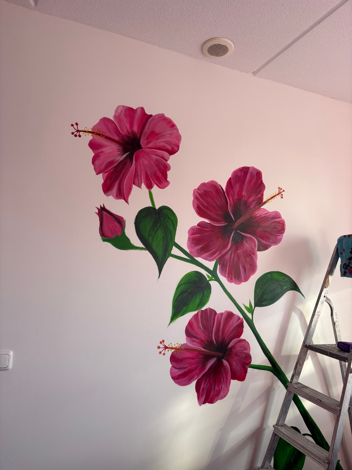 Hibiscus met kolibrie, Hal · particulier