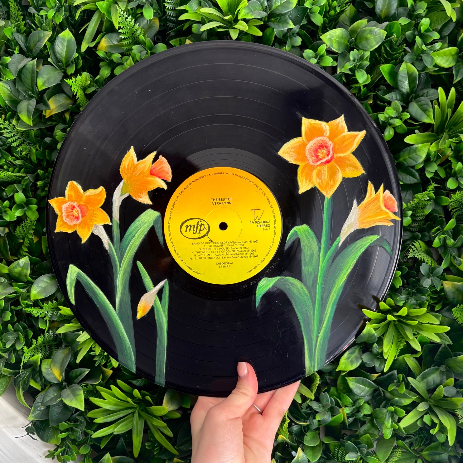 Beschilderde LP · Narcissen